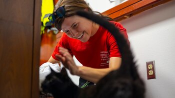 Rowdy recibió un chequeo de