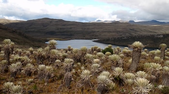La resolución reconoce actividades agropecuarias tradicionales y ratifica la prohibición estricta de la minería y la explotación de hidrocarburos en la zona delimitada - crédito Parques Nacionales Naturales
