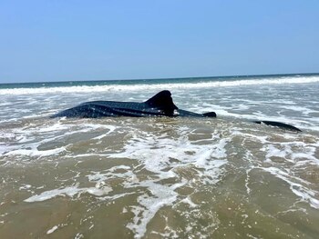 Ministerio de Ambiente