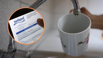 Revisa todos los detalles del