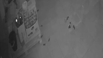 Suspendieron las clases y hay