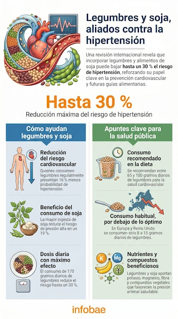 Infografía que muestra un corazón humano y vasos sanguíneos rodeados de legumbres, frijoles de soja y un monitor médico con una onda cardíaca.