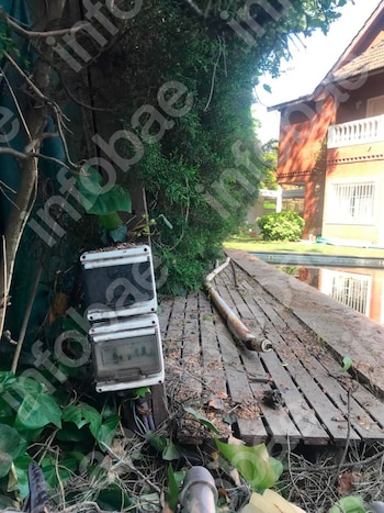 Pidió una inspección urgente por un árbol con riesgo de caída, el municipio demoró el trámite y el pino terminó aplastando su casa
