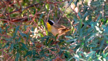"Tendría que estar en la