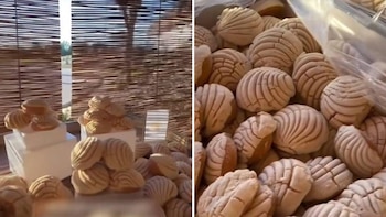 Los usuarios aplaudieron la creatividad