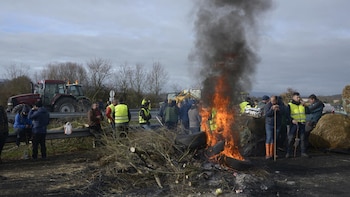 Agricultores rechazan el tratado UE-Mercosur: