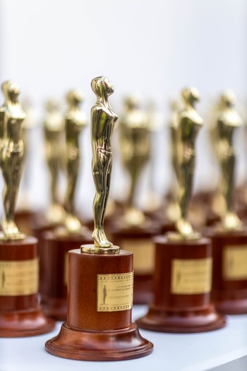 Entre las nuevas categorías de