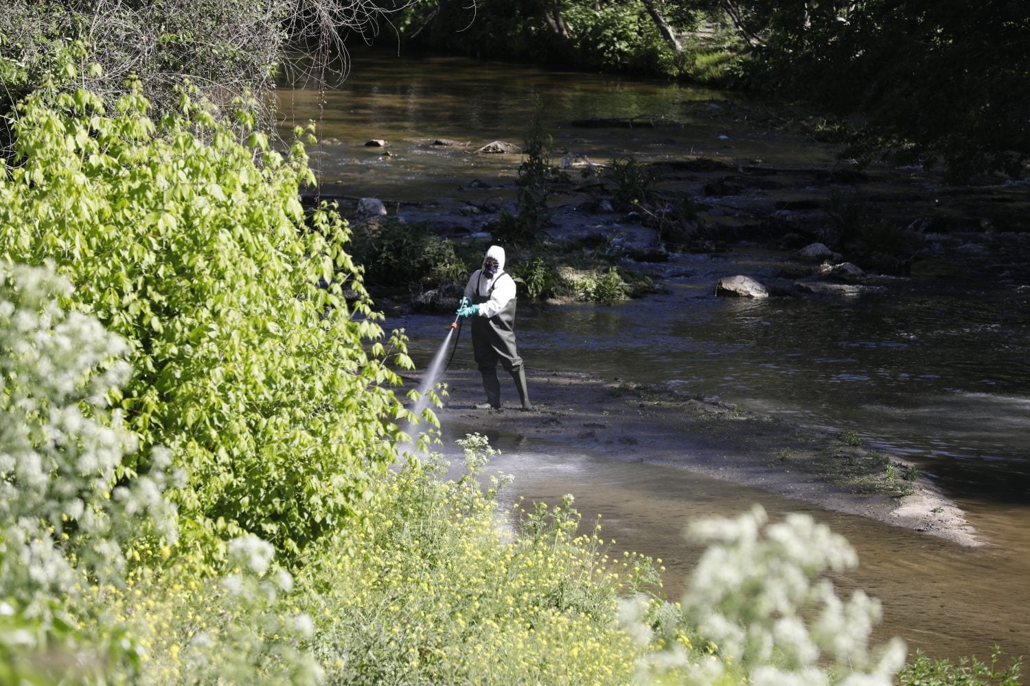 Técnicos del Ayuntamiento de Madrid, en la campaña de eliminación de la mosca negra en el río Manzanares. (Ayuntamiento de Madrid)