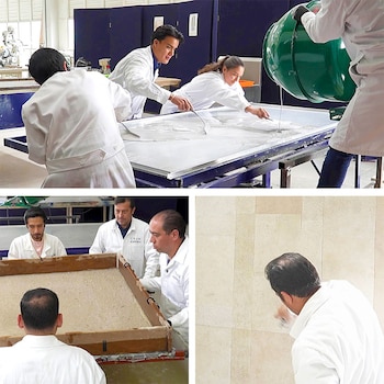 El sargazo afecta playas del