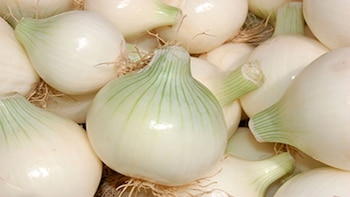 La cebolla, más que un