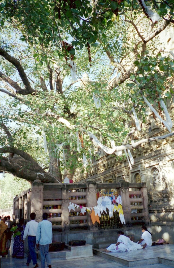 La Unesco declaró Patrimonio de la Humanidad al templo Mahabodhi en 2002 por su relevancia budista (Wikipedia)