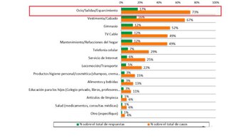 Principales rubros en los que