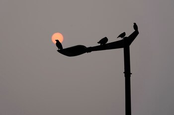 La contaminación en el aire