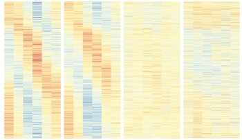 Un equipo de científicos en