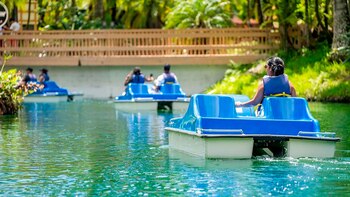 Remar en la Granja de