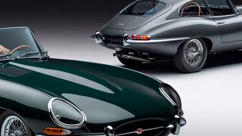 Doce nuevos ejemplares únicos para