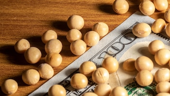 Uruguay exportó 1.307 millones de dólares en junio con una caída interanual del 4%