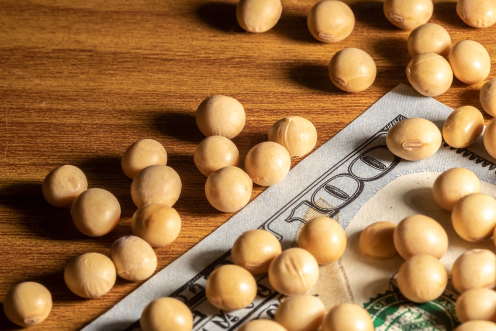 Uruguay exportó USD 1.307 millones y diversificó sus mercados