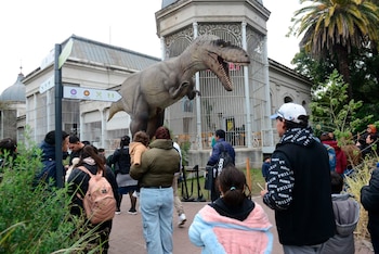 Entre los animales autóctonos del Ecoparque se encuentran carpinchos, tapires, ñandúes, flamencos australes y cóndores andinos