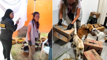 Trascendió la detención de una