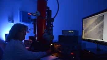 Si el CONICET fuese privatizado