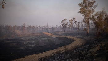 Sanz confirma "avances" en el incendio de Niebla aunque con "incertidumbre" ante otro cambio de viento