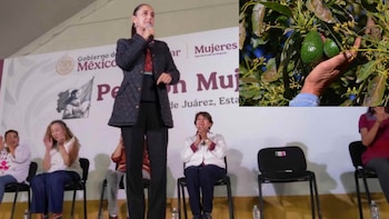 Sheinbaum no ha visitado la región aguacatera de Michoacán, pese a la inseguridad y freno a exportaciones