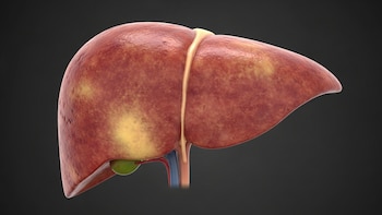 Reposo y descanso: dos factores