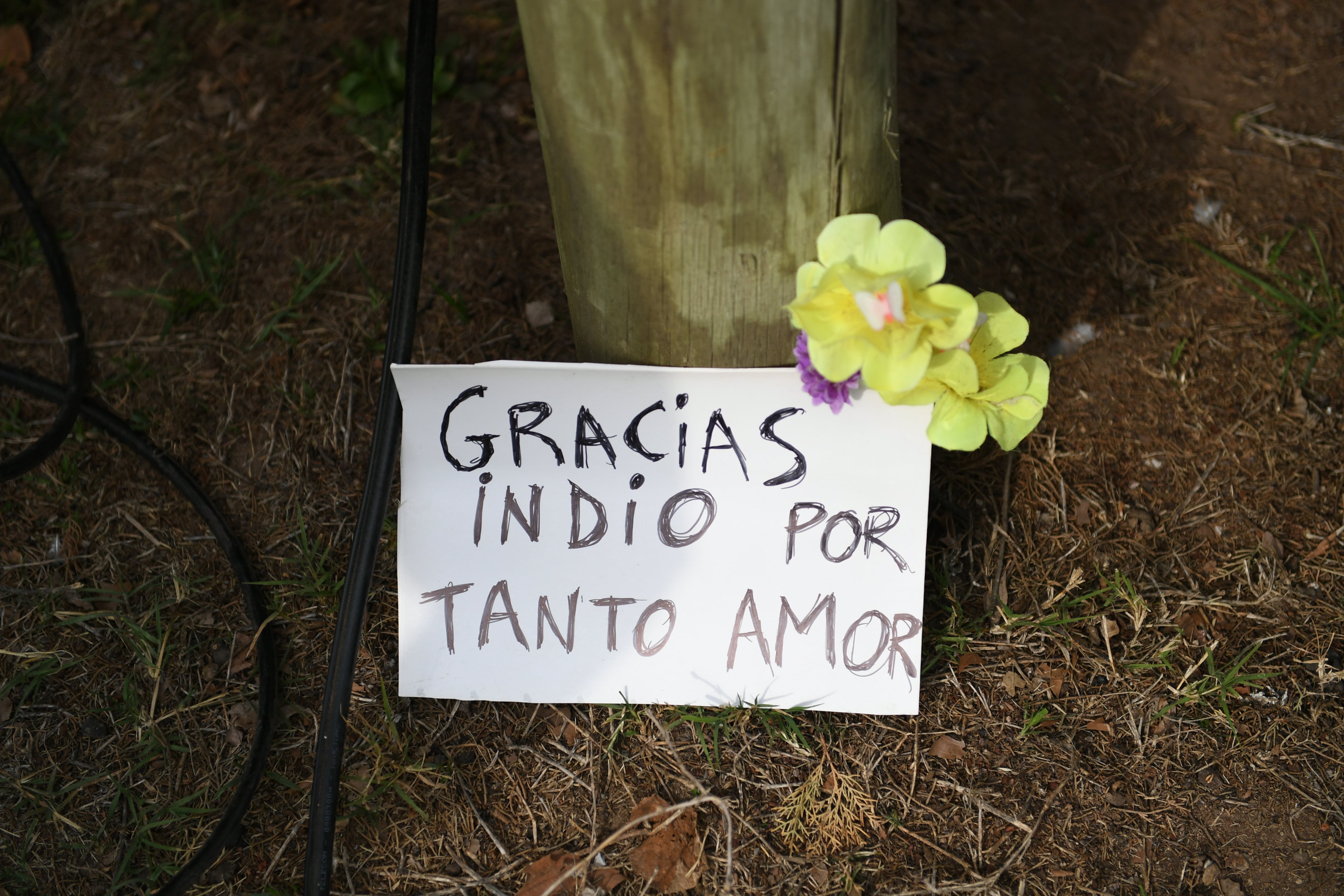 Fotografía: RSFotos