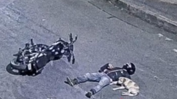 Un perro se hizo viral en Medellín por no abandonar a un motociclista tras un accidente: conmovió con su lealtad