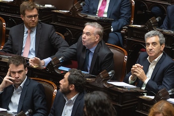 Pichetto consideró que el Congreso
