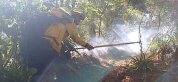 Dos personas con uniformes amarillos, cascos y mochilas operan una herramienta con mango largo en un entorno boscoso con humo y luz solar