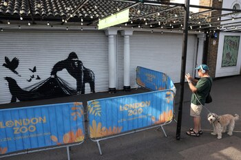 La persiana enrollable de uno