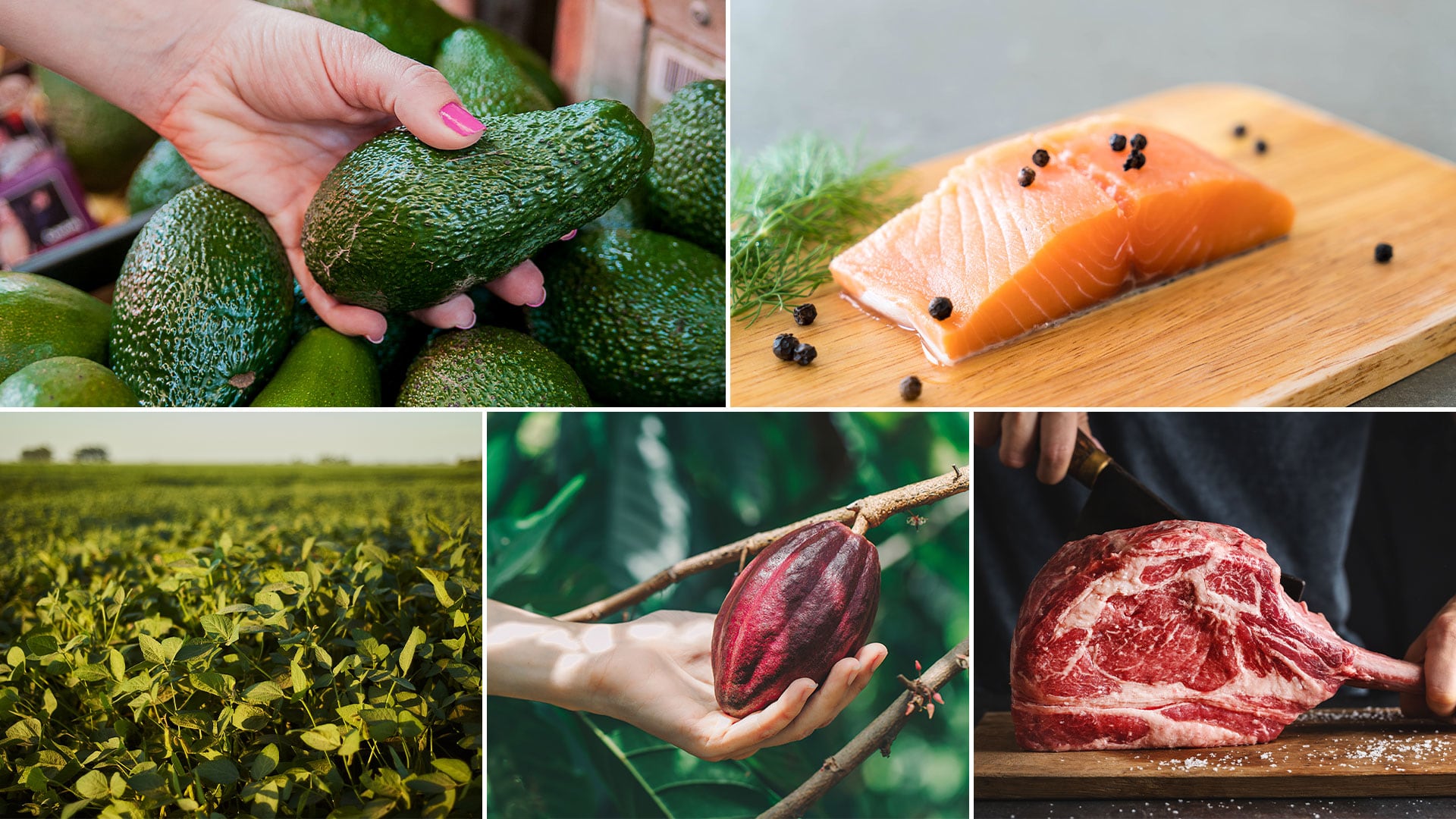 Cinco alimentos con alto impacto ecológico: aguacate, salmón, soja, cacao y carne