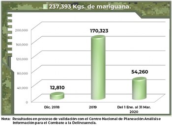 Resultados del decomiso de marihuana