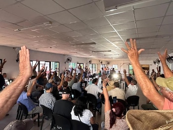 Productores yerbateros de Misiones vuelven