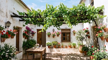 Patio interior de paredes blancas con una parra de uvas verdes sobre una pérgola, macetas con flores y una mesa de madera con sillas.