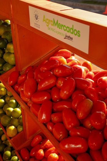 Tomates frescos en un agromercado del Ministerio de Agricultura y Ganadería (MAG) de El Salvador, como parte de la estrategia para ofrecer alimentos a precios justos (Foto cortesía MAG).
