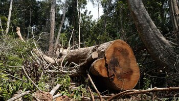 Perú impulsa acciones para combatir