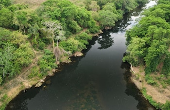 En 2025 en el río La Villa fueron detectados unos 23 puntos críticos de contaminación, mayormente porquerizas. (MiAmbiente)