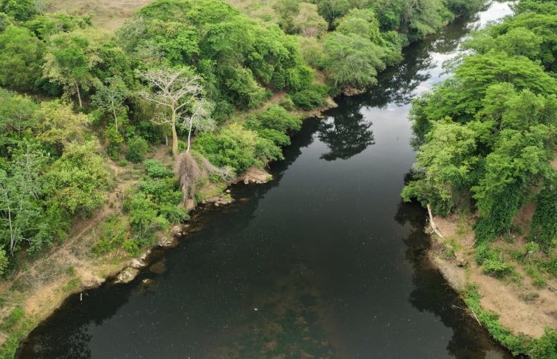 En 2025 en el río La Villa fueron detectados unos 23 puntos críticos de contaminación, mayormente porquerizas. (MiAmbiente)