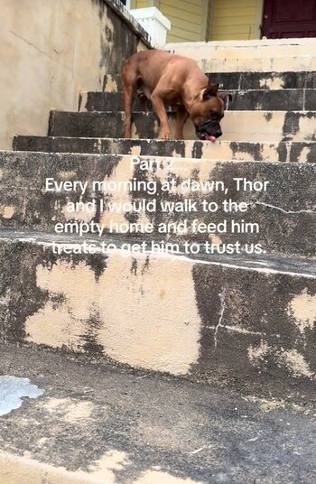 Houdini estaba muy asustado por