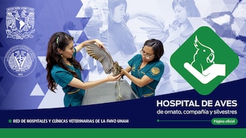 Para consultas programadas puedes ponerte