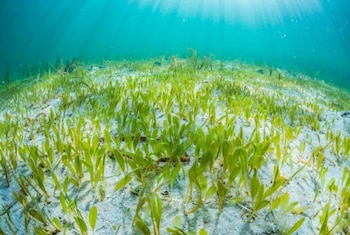 Imagen I6XXINJIVJDQBL6BV2JXYVNQKQ