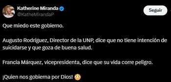 La representante a la Cámara