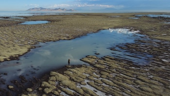 La COP 27 que concluyó este año en Egipto dejó avances para luchar contra el cambio climático (AP Foto/Rick Bowmer)