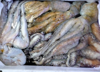 El repunte de la especie llevó al mercado de Brixham, en Devon, a registrar un récord de 100 toneladas en un día - EFE/Paco Torrente