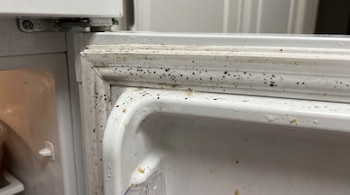 Primer plano de la junta de goma blanca de la puerta de un refrigerador abierto con puntos negros de suciedad y restos marrones.
