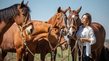 La relación con el caballo