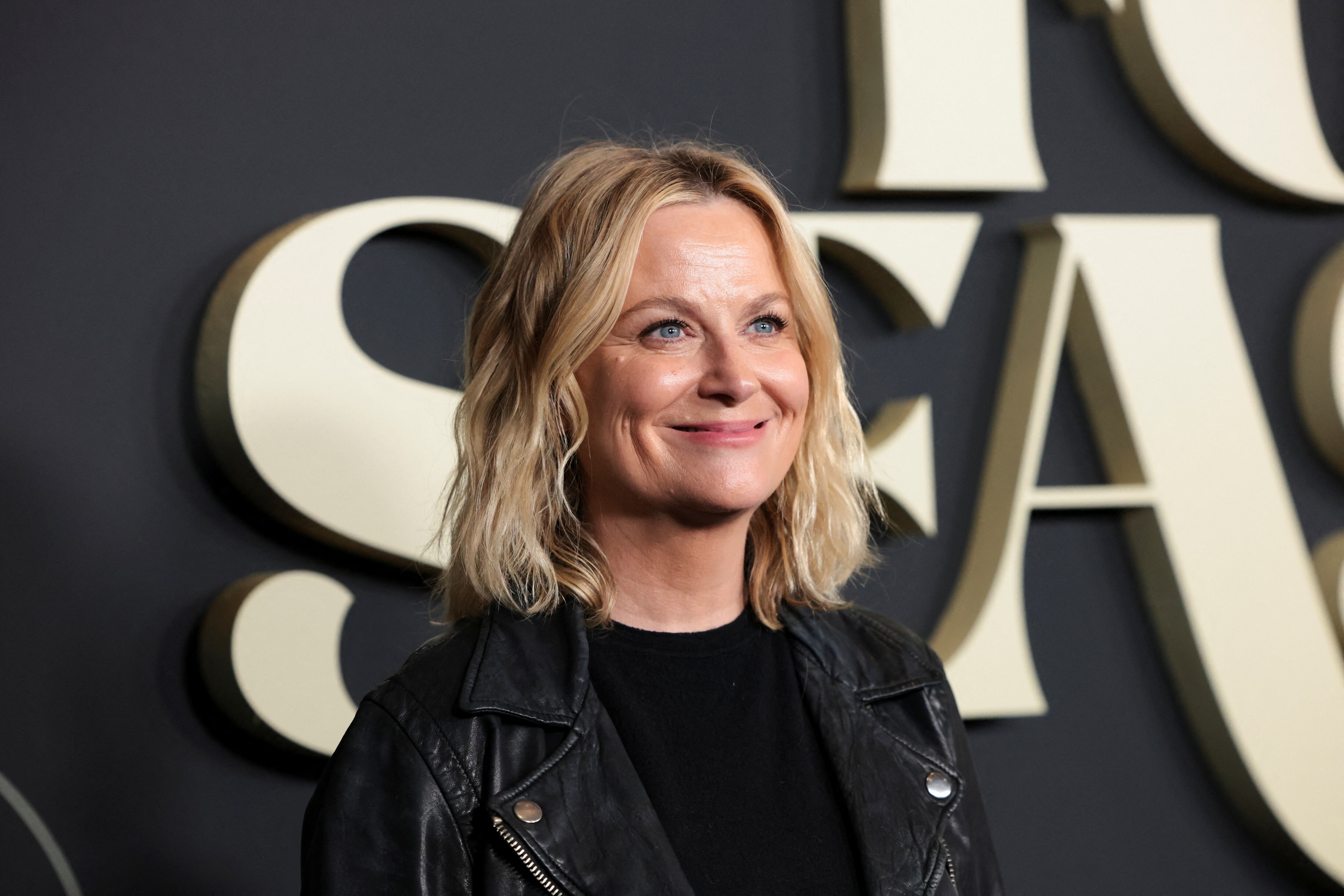 Amy Poehler lanzó el comentario durante el monólogo de apertura de la 70.ª edición de los Globos de Oro al referirse a la película Zero Dark Thirty. REUTERS/Mario Anzuoni